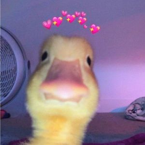 Meet your Posher, Theseus